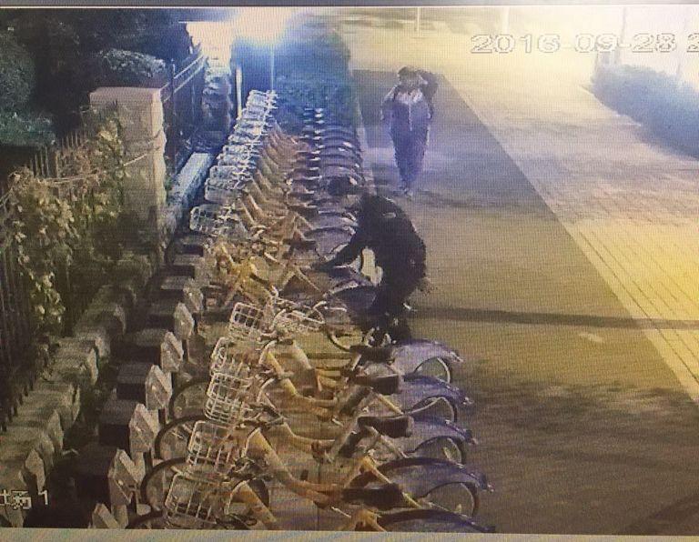 尊龙凯时-人生就是搏中国官方网站